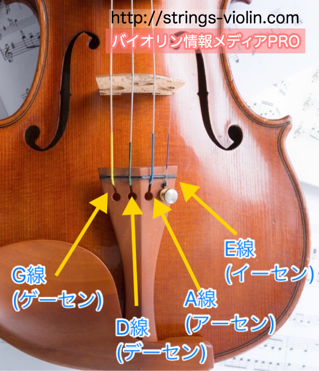 海外輸入 定番セットヴァイオリン弦 Eゴールドブラカット A,D,Gドミナント 4 4フルサイズ用 genchiextreme.com